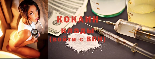 ГАЛЛЮЦИНОГЕННЫЕ ГРИБЫ Новозыбков