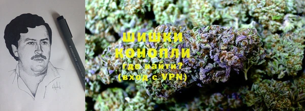 прущий лед Гусев