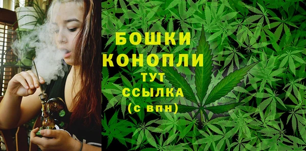 прущий лед Гусев