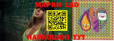 гашик Аргун