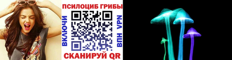 Галлюциногенные грибы GOLDEN TEACHER  Северобайкальск 